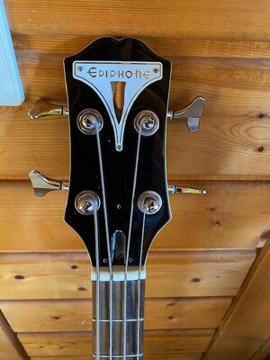 Suche - Flatwounds Short