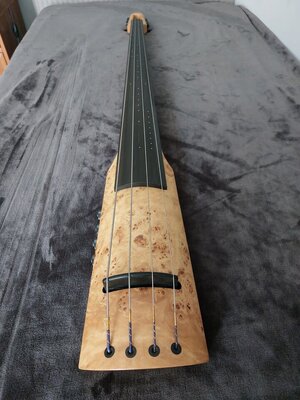 Verkaufe meinen NS Design CR4 Bass Custom E-Upright Bass in Poplar Burst