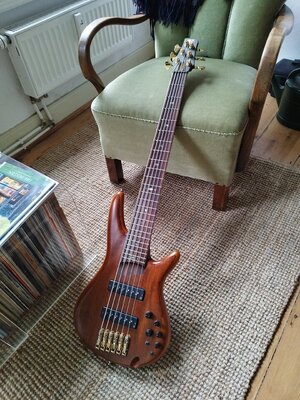 Ibanez Premium SDGR VNF 6 Saiter Bass