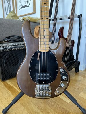 Music Man Sting Ray Bass 1979