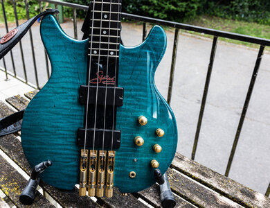 Blue bass medium.jpeg