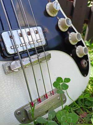 IMG20240809123506.jpg IMG20240809123506.jpg