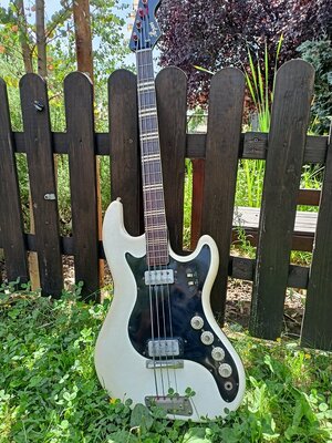 IMG20240809123234.jpg IMG20240809123234.jpg