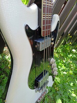 IMG20240809123530.jpg IMG20240809123530.jpg