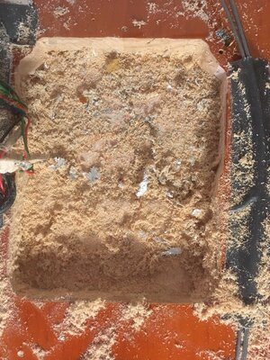 D8D15EE5-E425-4262-9C23-7EE7F232AB4E.jpeg D8D15EE5-E425-4262-9C23-7EE7F232AB4E.jpeg