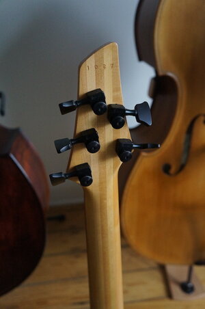 Dingwall_3.jpeg Dingwall_3.jpeg