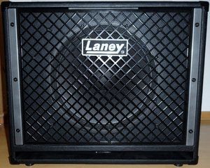 Laney1 (800x642).jpg