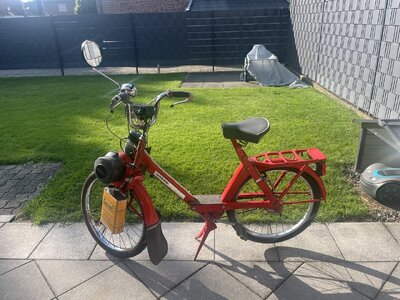 IMG_5558.jpg IMG_5558.jpg