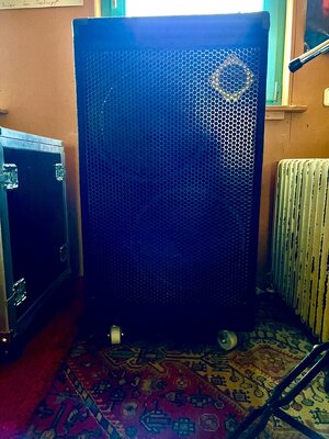 EDEN D-215XLT Bass Cabinet✨Rarität ✨