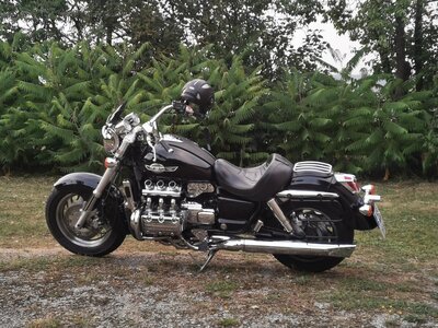 IMG_20240906_192653_resized_20240909_085014581.jpg IMG_20240906_192653_resized_20240909_085014581.jpg