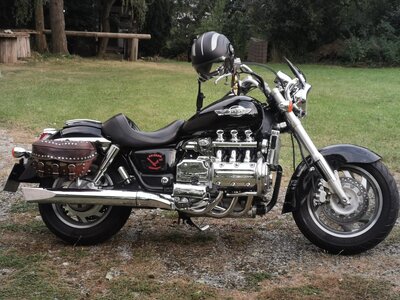 IMG_20240906_192732_resized_20240909_085014305.jpg IMG_20240906_192732_resized_20240909_085014305.jpg