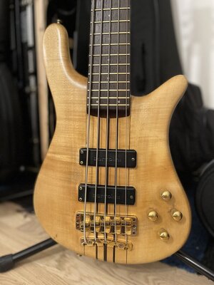Warwick Streamer Stage I 5