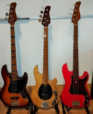 IMG_20240913_072041~2.jpg IMG_20240913_072041~2.jpg