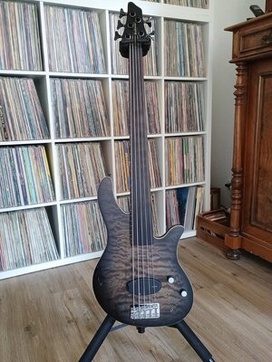 Clover Argo 5 Fretless (Preisupdate) Reserviert