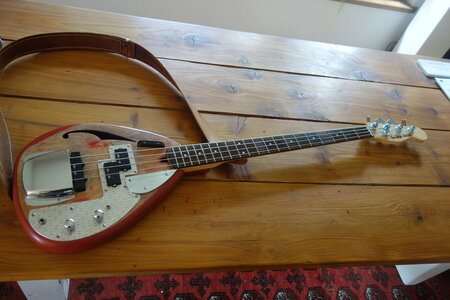 Inky Bass.JPG Inky Bass.JPG