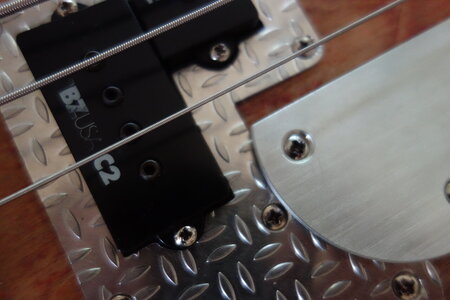 Inky Bass 4.JPG Inky Bass 4.JPG