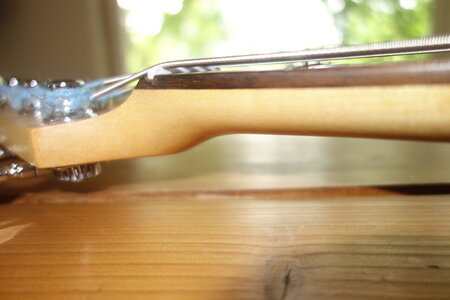 Inky Bass 5.JPG Inky Bass 5.JPG