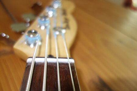 Inky Bass6.JPG Inky Bass6.JPG