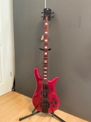 IMG_7431.jpeg IMG_7431.jpeg