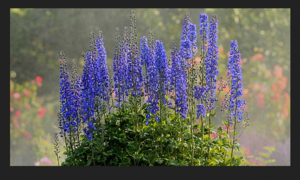 Bildschirmfoto 2016-06-20 um 13.43.31.png