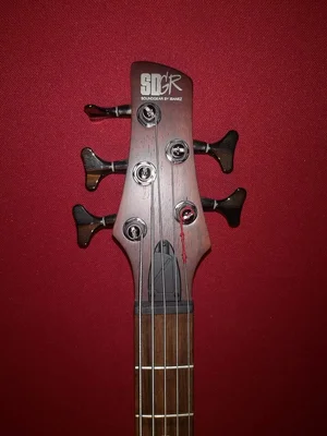 SG Ibanez Holz.webp