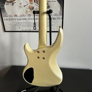 IMG_2558.JPEG