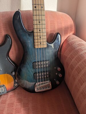 PXL_20241124_103845400.MP.jpg PXL_20241124_103845400.MP.jpg