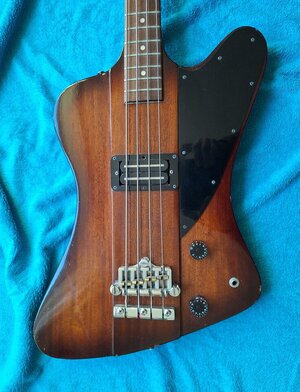 FRESHER Thunderbird (2).jpg FRESHER Thunderbird (2).jpg
