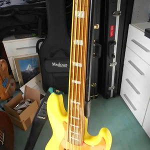 DSCN2456.webp DSCN2456.webp