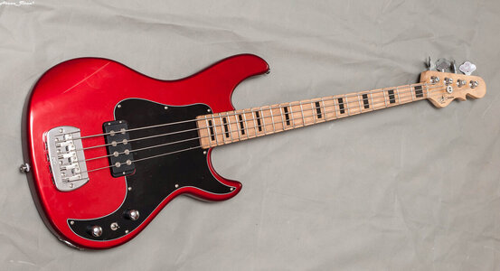 _7004229.jpg _7004229.jpg