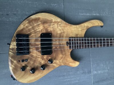 IMG_1728.jpeg IMG_1728.jpeg