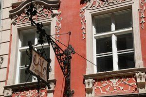 IMG_6677.jpg