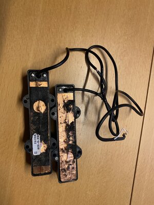 IMG_0650.jpeg IMG_0650.jpeg