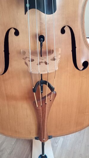 Neumann_Primus_1.jpeg Neumann_Primus_1.jpeg