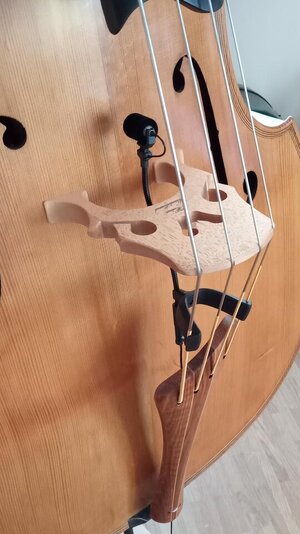 Neumann_Primus_2.jpeg Neumann_Primus_2.jpeg