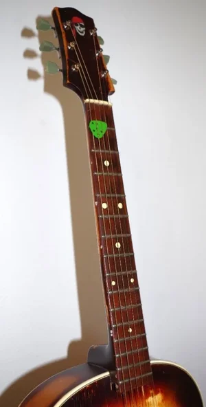 IMGP1351 508x1000.webp