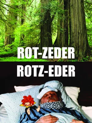 Rotzeder.webp