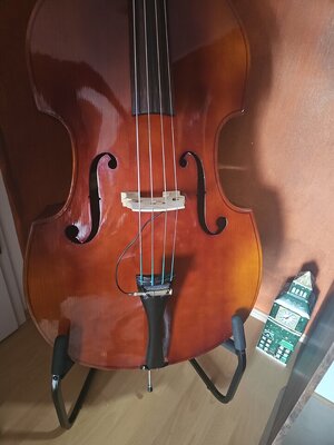 Kontrabass 3/4 für Anfänger