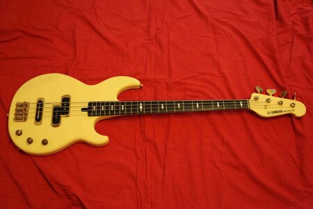 Suche: Yamaha BB3000S
