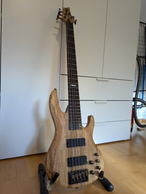 ESP LTD B-405 SM Spalted Maple 5-Saiter Bass EMG Aktiv Gigbag