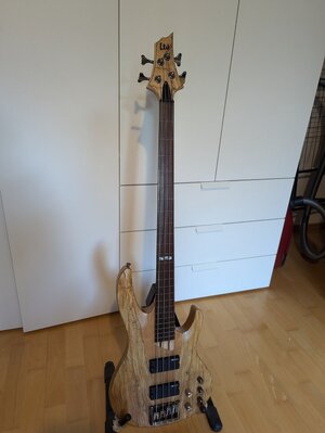 ESP LTD B204SM FL Fretless Bundlos 4-Saiter Aktiv