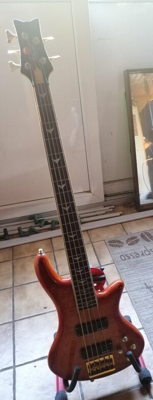 IMG_20250211_202456.jpg IMG_20250211_202456.jpg