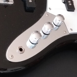 (Gefunden) Control Plate für Jazz Bass