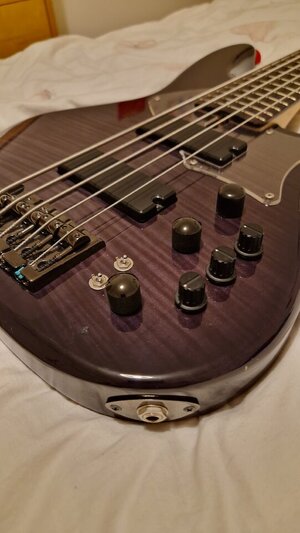 FGN Director Expert 5