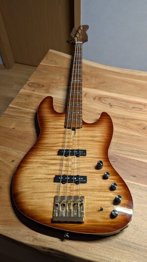 Sire V10 DX / Preis VB