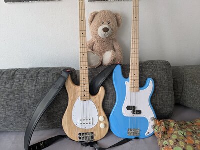 PXL_20250227_135611533.jpg PXL_20250227_135611533.jpg