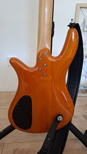 20250310_151337.jpg