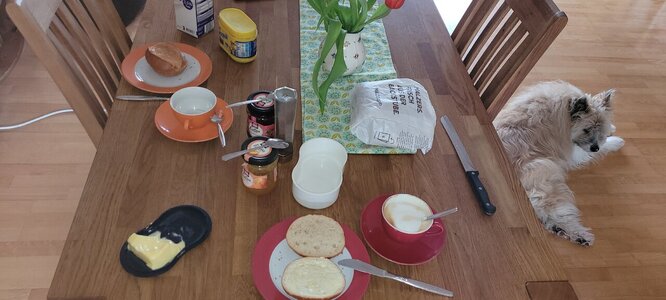 20250315_090154.jpg