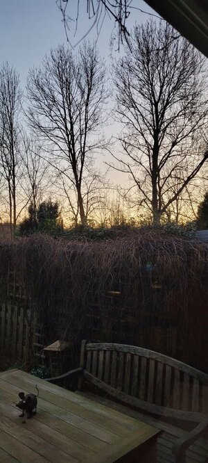 20250319_062148.jpg
