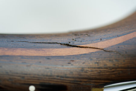 DSC_4031_DxO.jpg